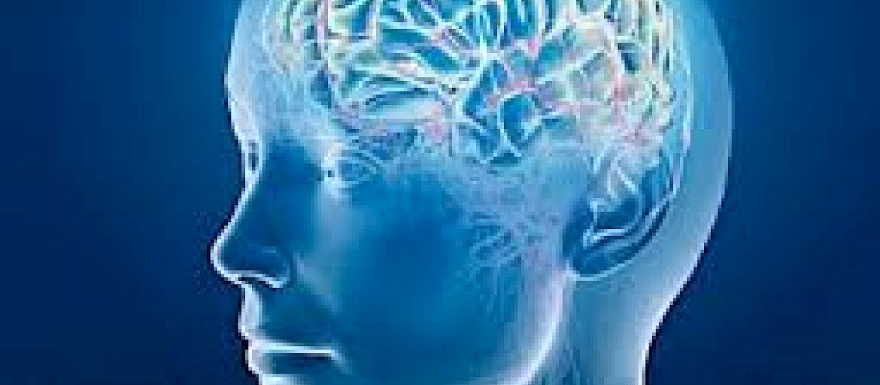 Scoperta causa genetica della sclerosi multipla?