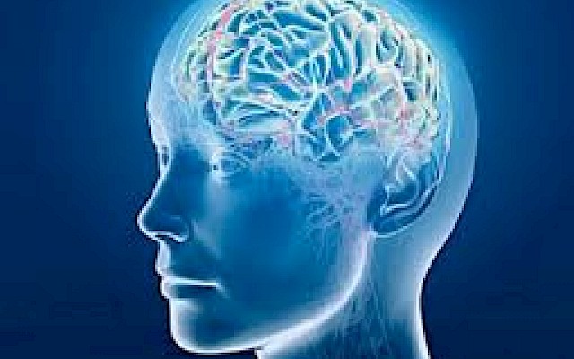 Scoperta causa genetica della sclerosi multipla?