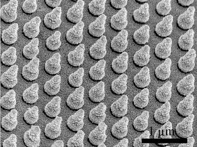Gli ingegneri dell’università di Stanford hanno creato matrici di nanoconi di silicio per catturare la luce solare e migliorare le prestazioni delle celle solari a base di bismuto vanadato. Credits: Wei Chen e Yongcai Qiu, Stanford