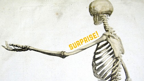 Trovata nuova via per trasformare cellule staminali in cellule ossee