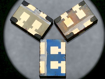 Prototipi delle celle solari basate sulla perovskite. Credits: Alain Herzog/EPFL