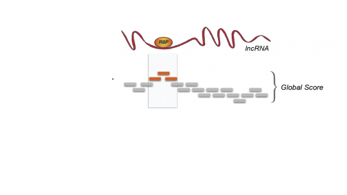 Le dimensioni contano…e anche la struttura