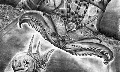 Una ricostruzione artistica dell’attacco di un esemplare di W. armstrongi a un pesce nelle acque del mare devoniano. Credit: James Ormiston