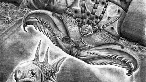 Verme gigante di 400 milioni di anni fa scoperto in Canada