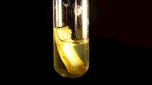 Idrogeno “pulito” e sostenibile grazie a luce solare e punti quantici