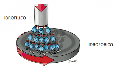 Schema che mette in evidenza come le molecole di soluzioni acquose pattinano sulla superficie idrofobica e vengono attratte da quella idrofilica.