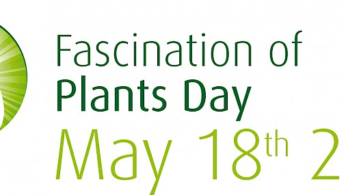 I segreti delle piante