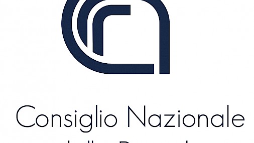 Epilessia e disabilità intellettiva: scoperto nuovo meccanismo molecolare