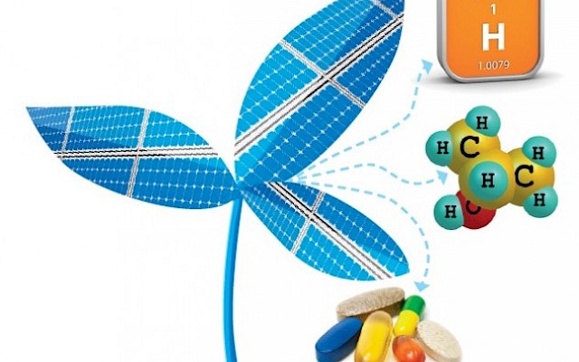 A ‘bionic leaf’ turns solar energy into chemicals and fuels