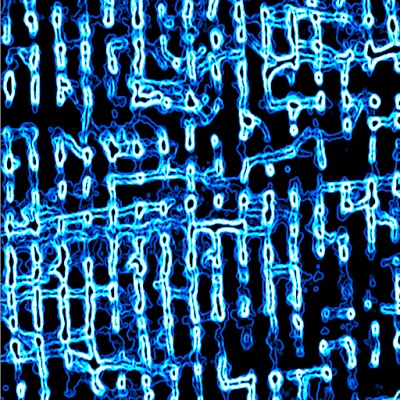 la figura illustra la complessa rete di membrane presenti all’interno di una cellula cardiaca.