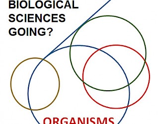 Dove stanno andando le scienze biologiche?