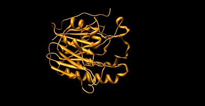 Ribbon diagram of APE1. PDB = 1de9. Credit: Wikipedia, Author: Dpuroadrunner10 - Own work; Public domain