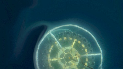 Virus negli abissi marini, motore della catena alimentare