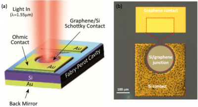 Riproduzione grafica (a) e immagine al microscopio ottico (b) del fotorivelatore grafene/silicio realizzato dall’Imm-Cnr in collaborazione con il Cambridge Graphene Centre