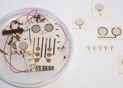 Elettrodi da tatuare sulla pelle - Foto dell'Istituto Italiano di Tecnologia (ITT), 2018