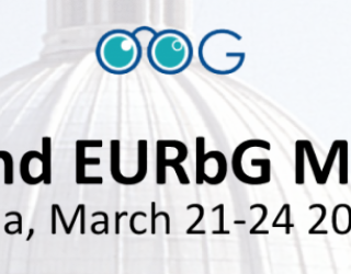 Congresso gruppo europeo di oncologia oculare e gruppo europeo retinoblastoma