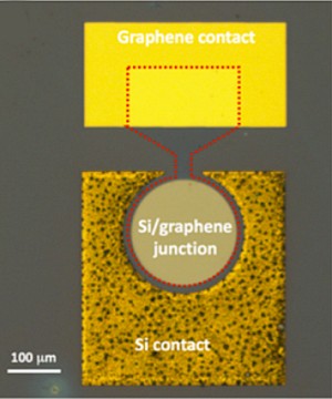 Immagine al microscopio ottico del fotorivelatore  grafene/silicio funzionante a 1550 nm