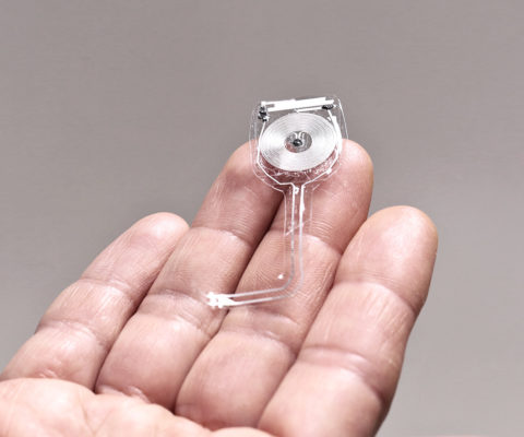 Immagine - Immagine del prototipo dell'impianto elettronico assorbibile dal corpo (Credit: Northwestern)