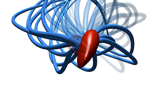 Dopo 300 anni scoperto il vero movimento degli spermatozoi