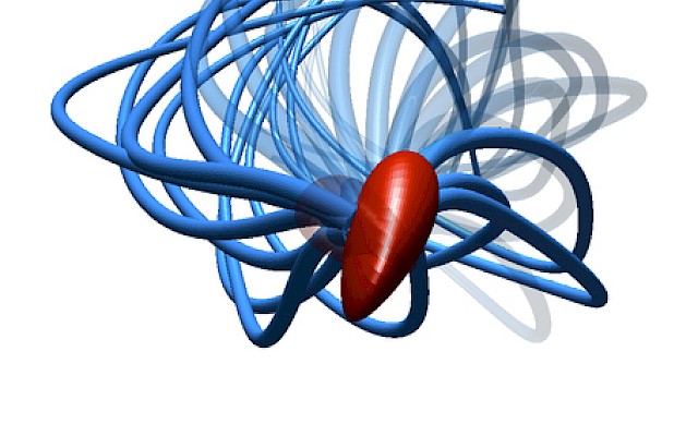 Dopo 300 anni scoperto il vero movimento degli spermatozoi