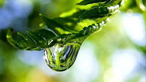 Scoperto nuovo tipo di legame chimico ultra forte?