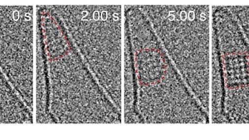 Identificata formazione cristalli di sale grazie a video a livello atomico