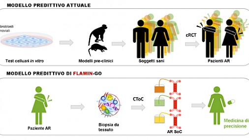FLAMIN-GO: nel potenziale della medicina di precisione, una svolta per trattamento artrite reumatoide